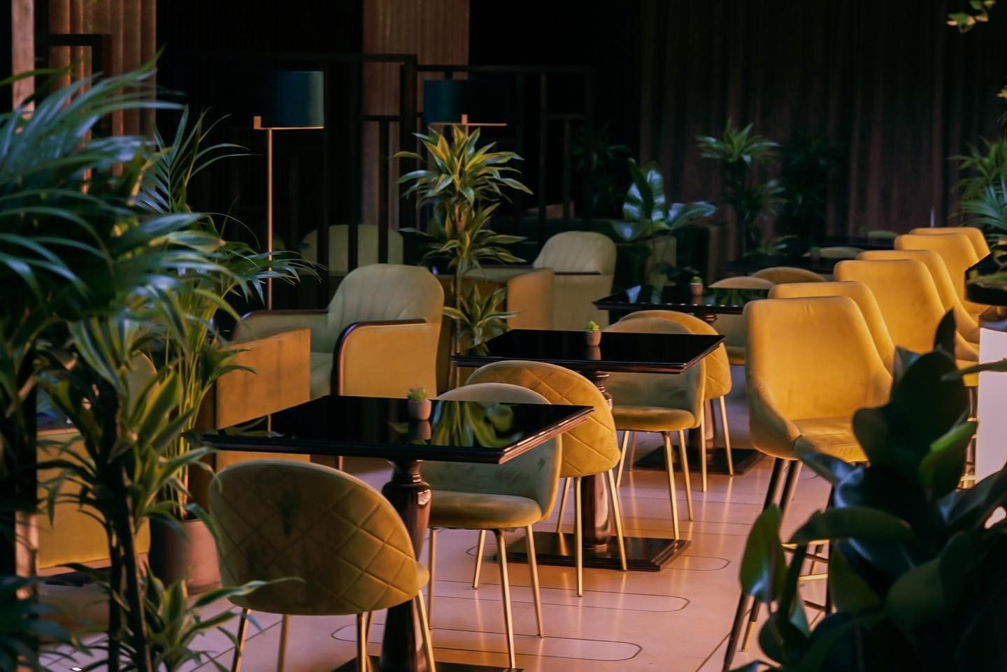 interior of jin bar shepherds bush london bar