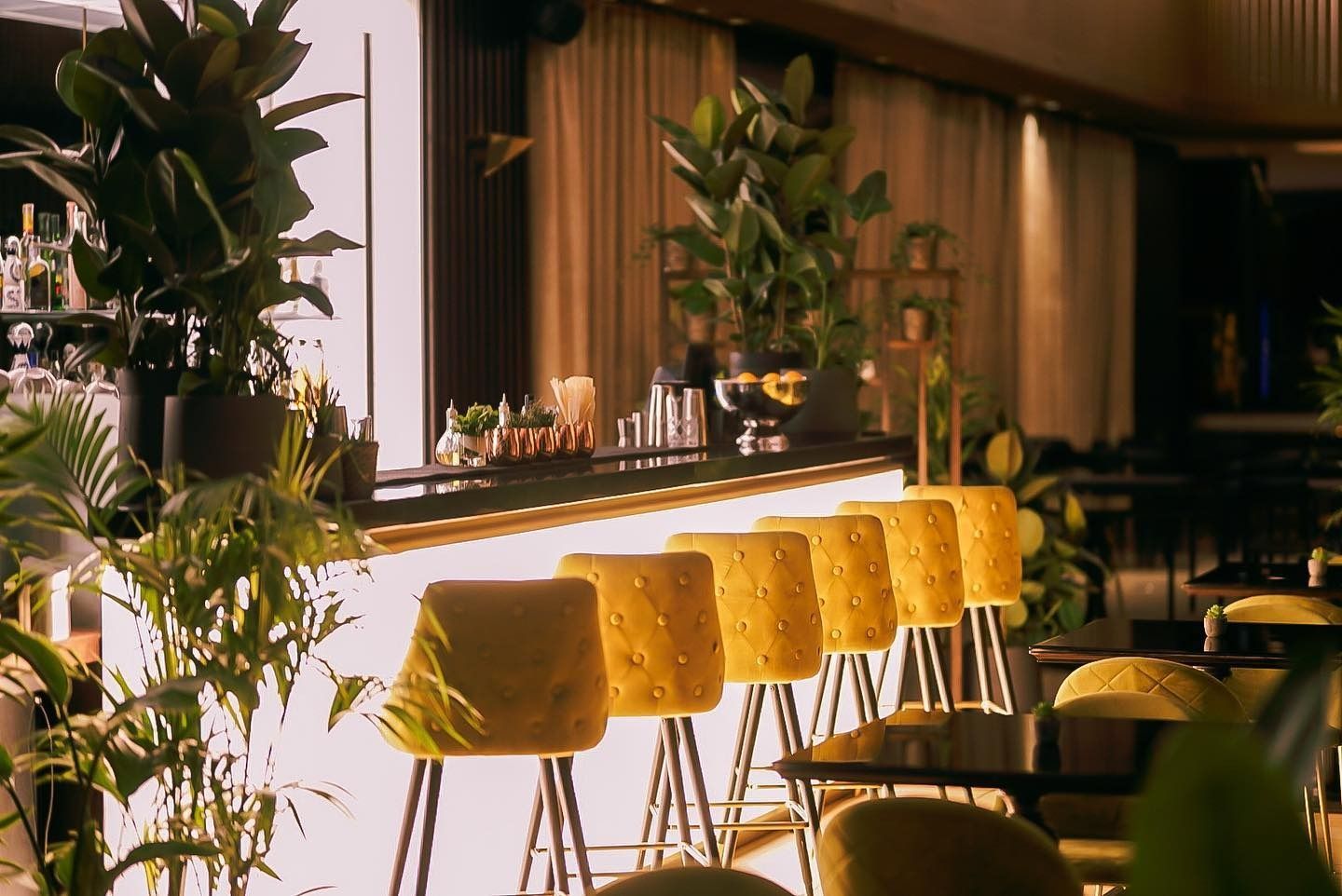 interior of jin bar shepherds bush london bar