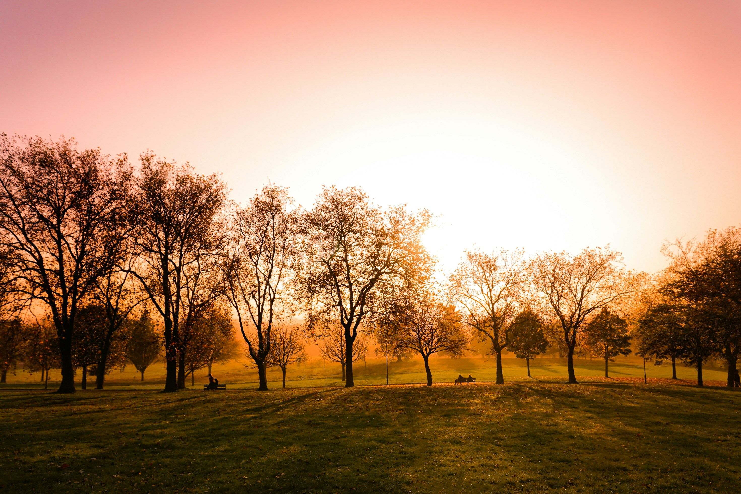 Hire Best autumn walks in London: A nature lover's selection venues