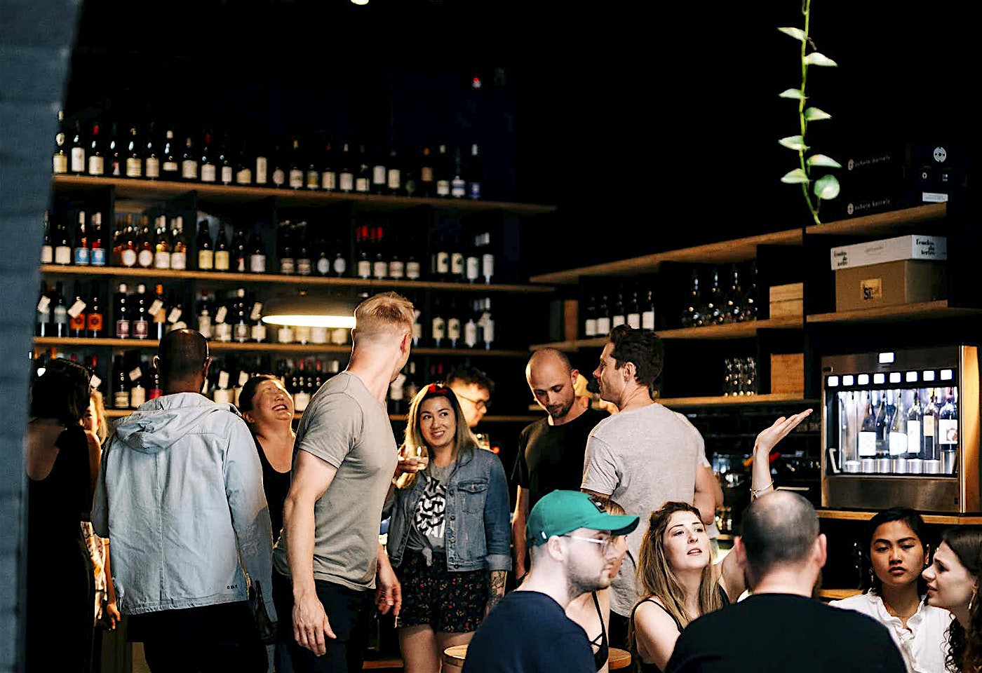 Wine Store, North Bird Wine Store and Bar image 3