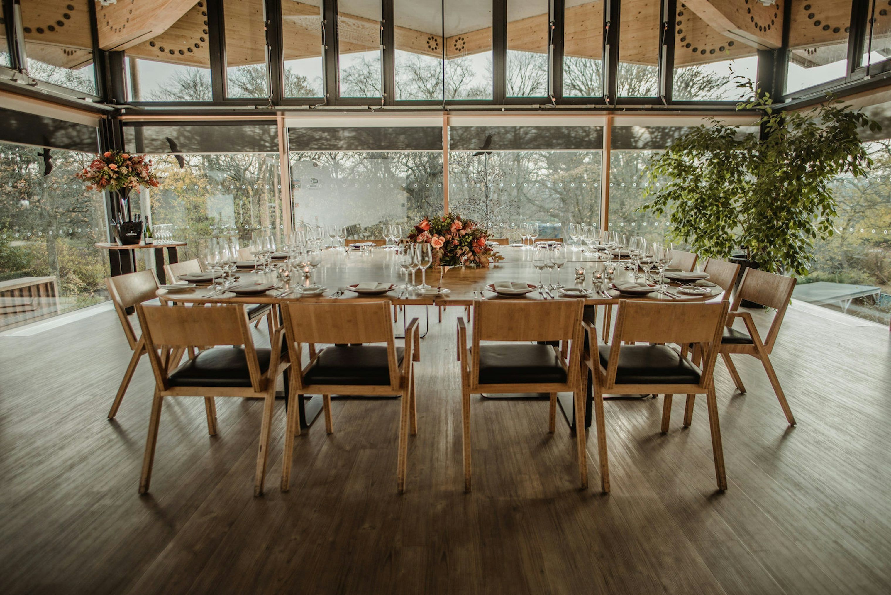 royal botanic garden edinburgh