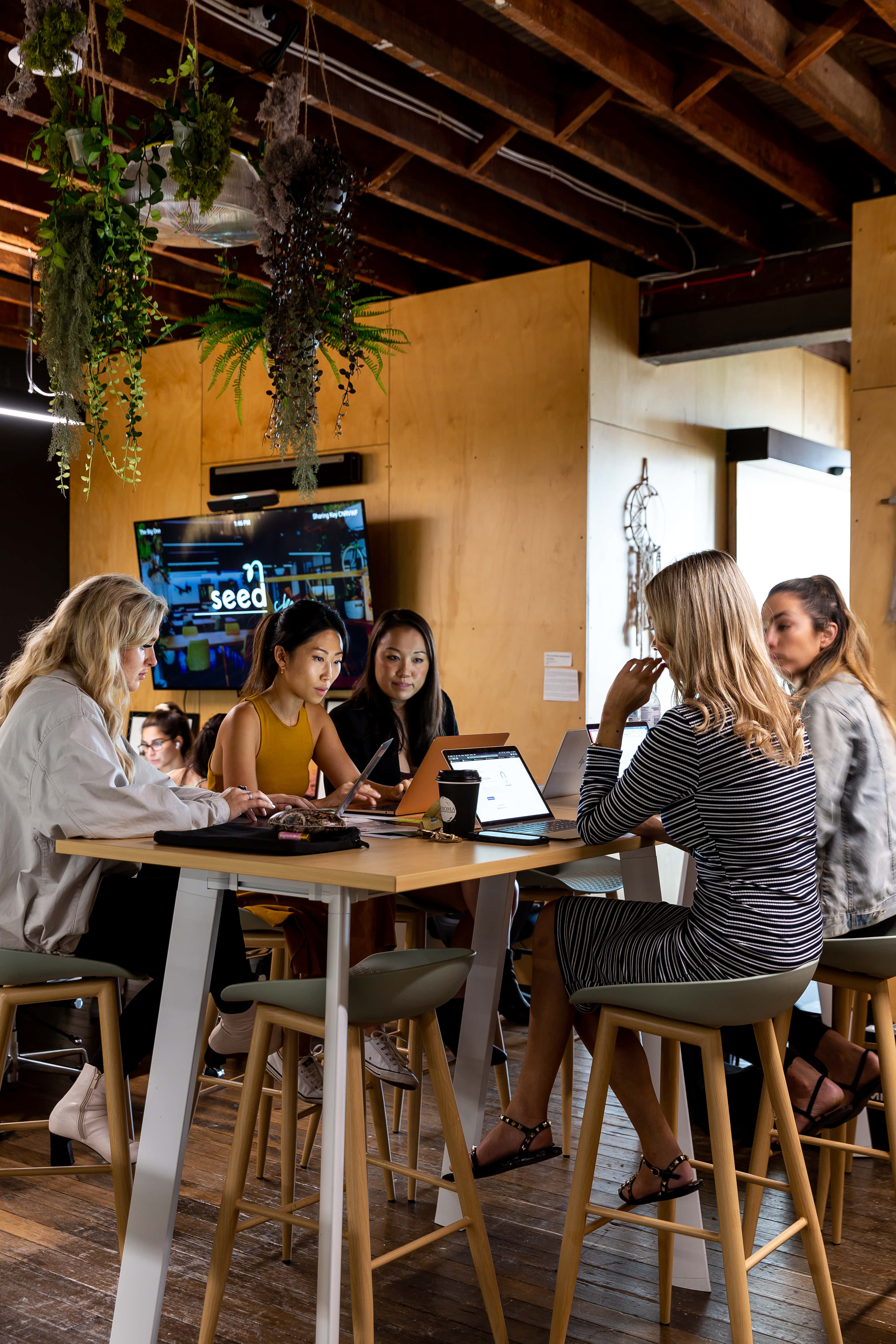 Seed Spaces | The Main Space | Venue Hire Sydney | 3