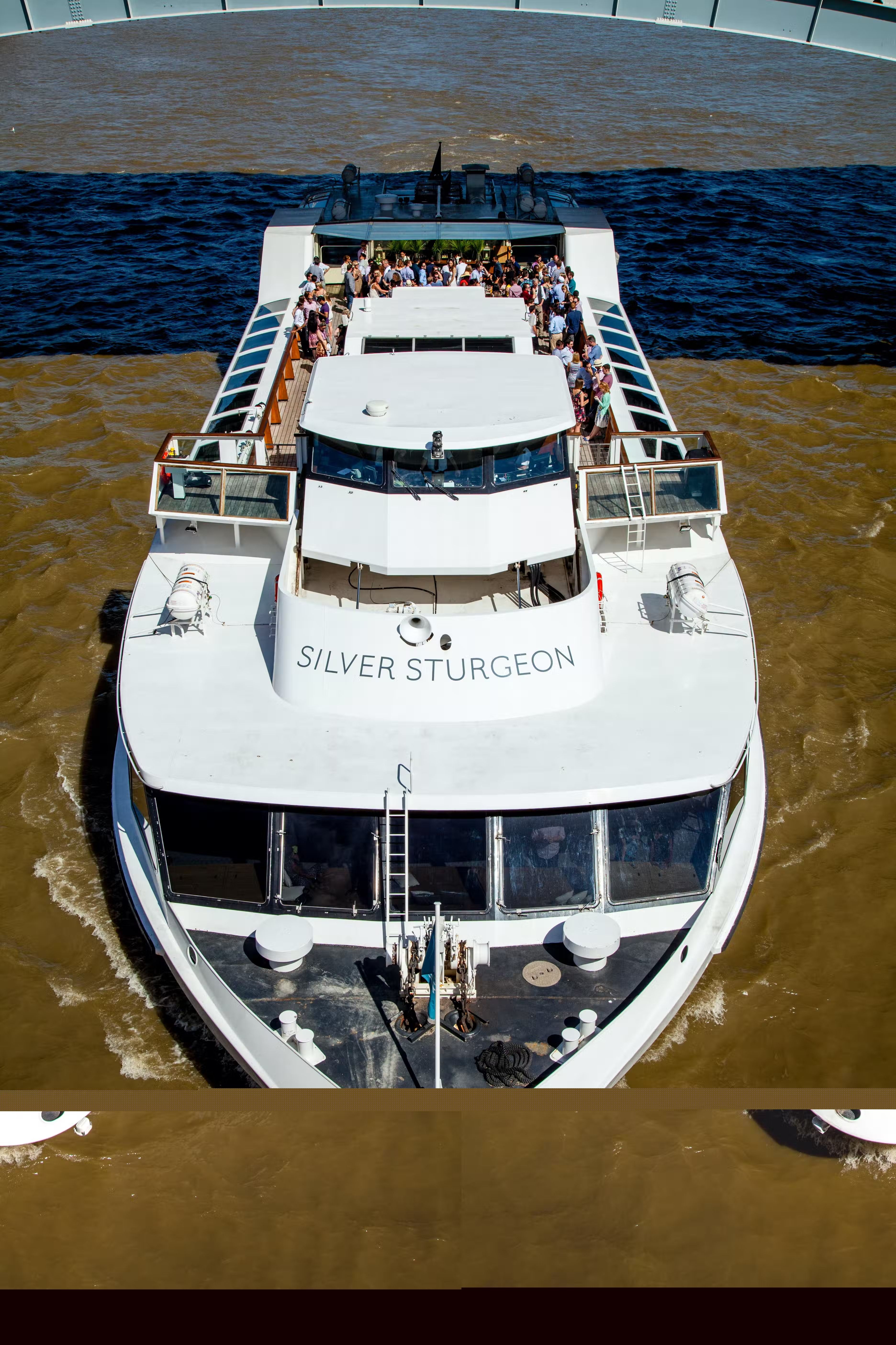 silver sturgeon birthday party london