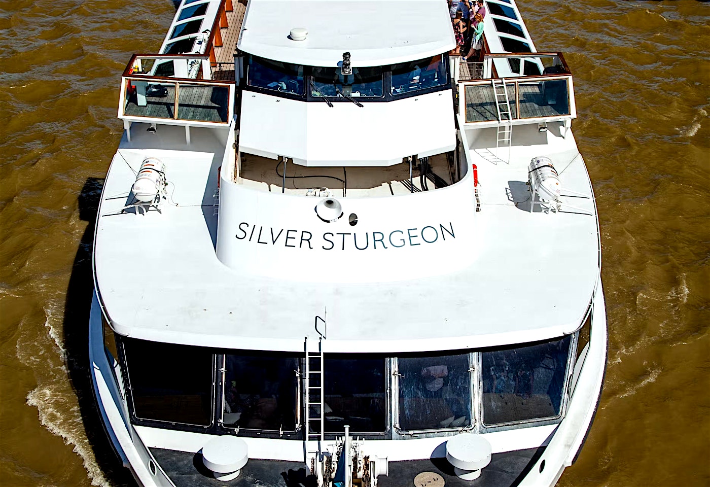 silver sturgeon birthday party london