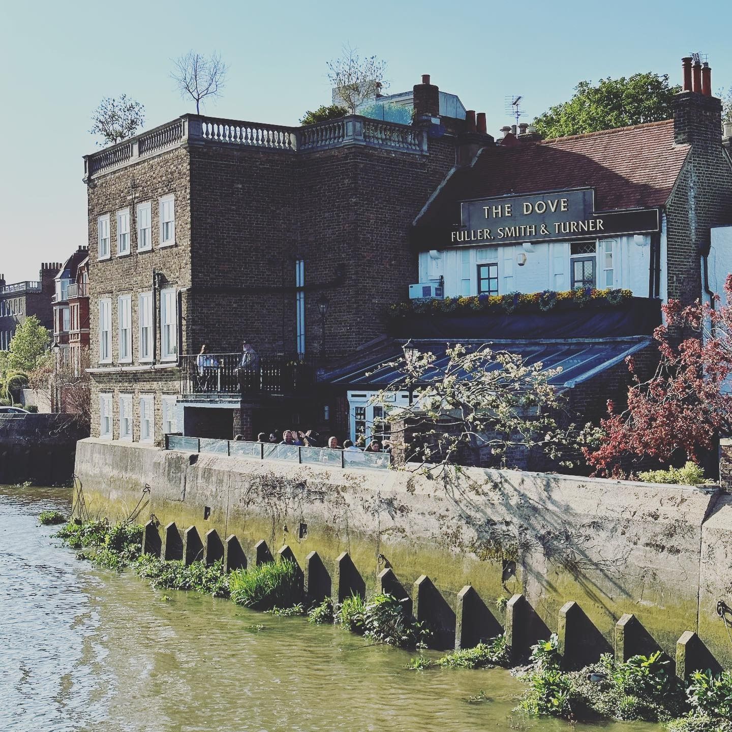 exterior of the dove hammersmith river bar 