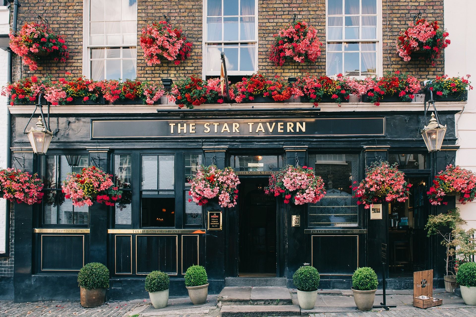 exterior of the star tavern belgravia london bar