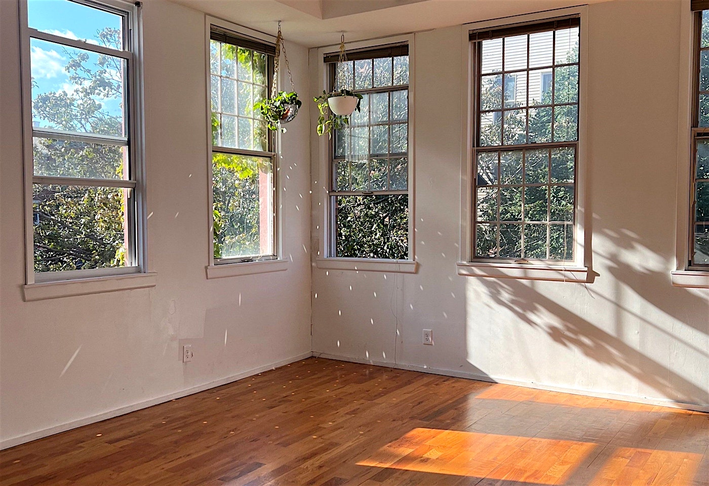 Three warm dance studios and a theatre to rent in Greenpoint: Trisk image 2