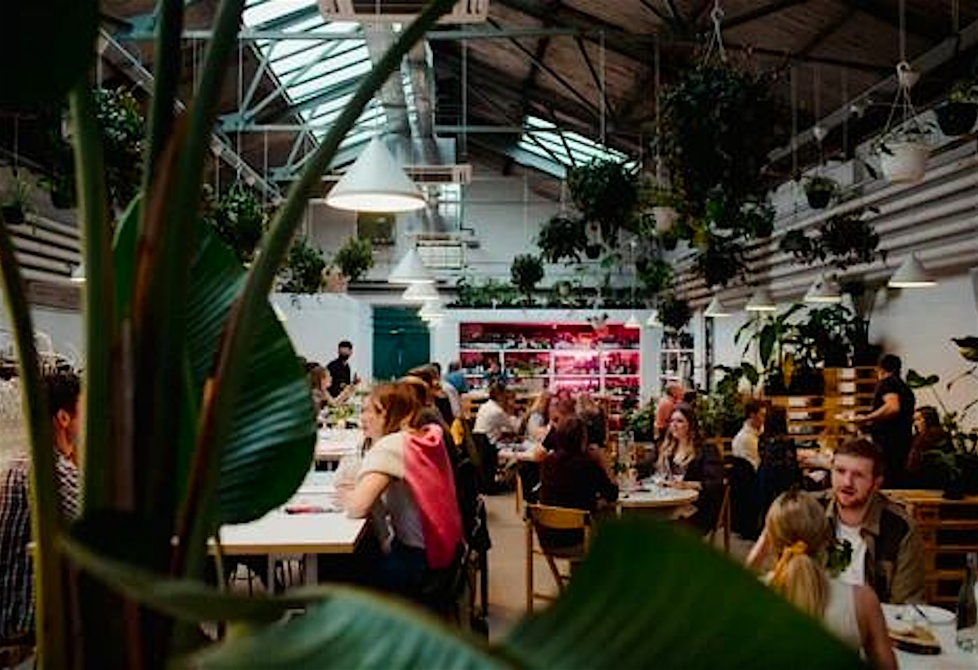 wine freedom birmingham unusual venues 1